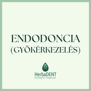 endodoncia gyökérkezelés