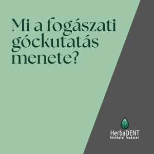 Mi a fogászati góckutatás menete? - HerbaDENT