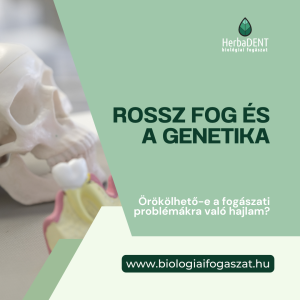 rossz fog genetika