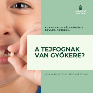 tejfognak van gyökere